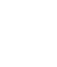 Vizio